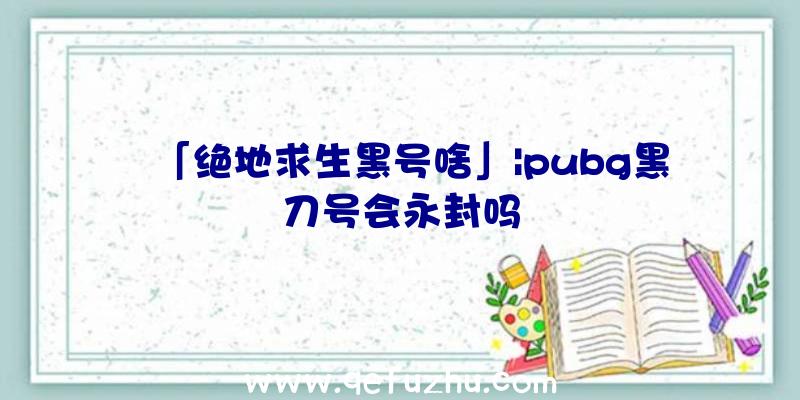 「绝地求生黑号啥」|pubg黑刀号会永封吗